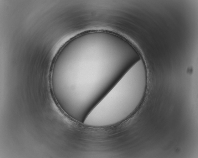 X0000110670943200906121057