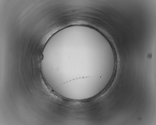 X0000110670945200906121057