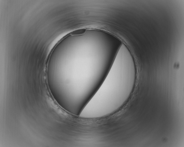 X0000110670948200906121057