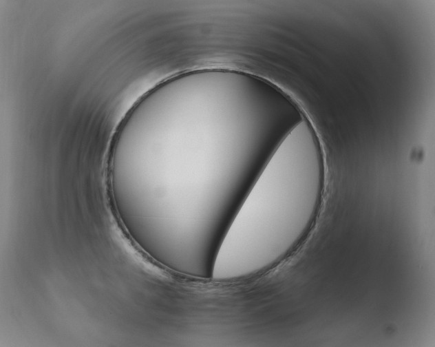 X0000110670949200906121057