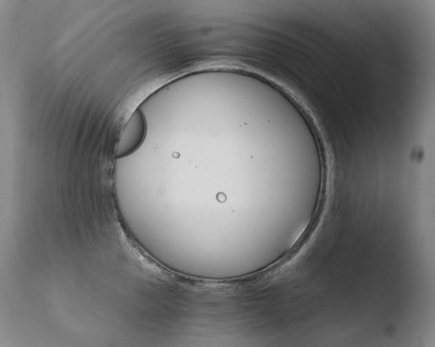 X0000110670953200906121057