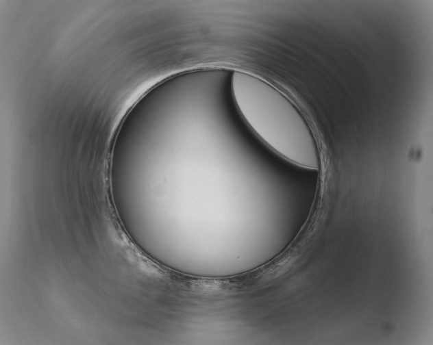 X0000110670956200906121058