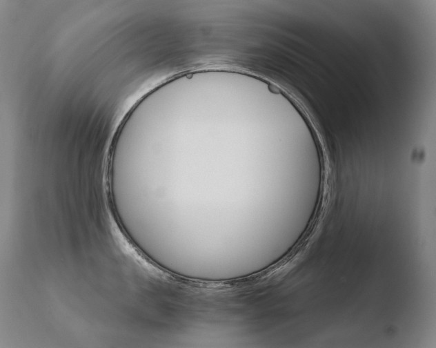 X0000110670957200906121058