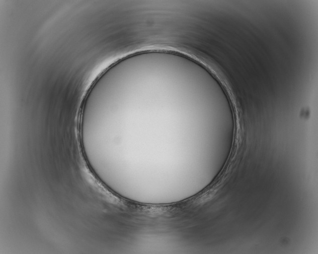X0000110670958200906121058