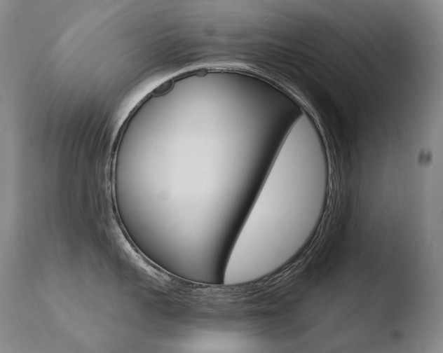 X0000110670959200906121058