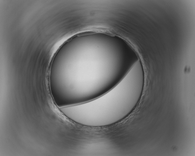 X0000110670960200906121058