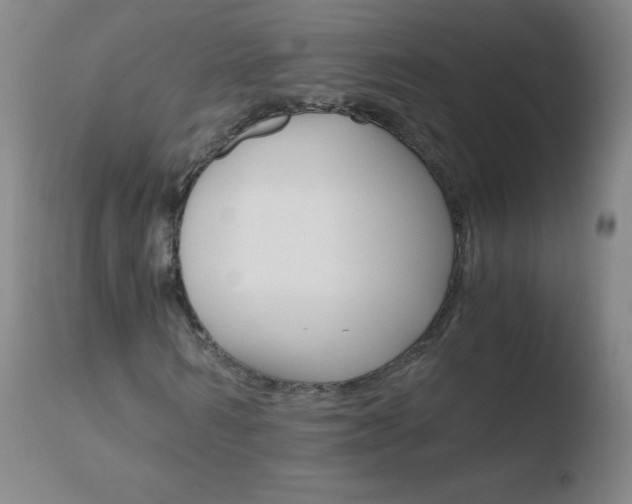 X0000110670962200906121057