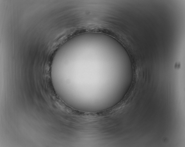 X0000110670964200906121057