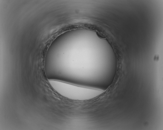 X0000110670965200906121057