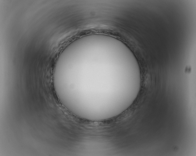 X0000110670966200906121057
