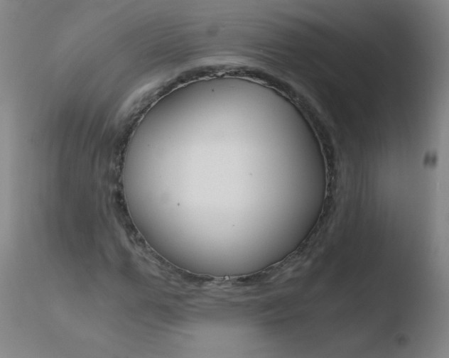 X0000110670967200906121057