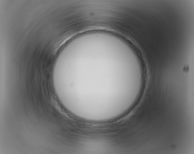 X0000110670969200906121057