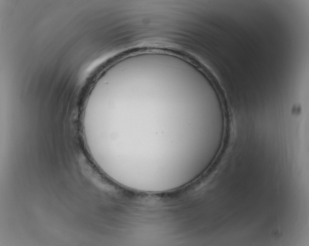 X0000110670971200906121057