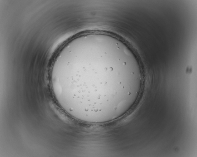 X0000110670974200906121057