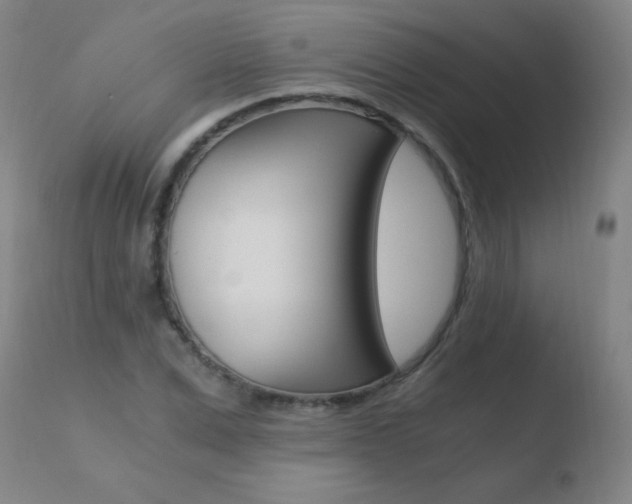 X0000110670975200906121057