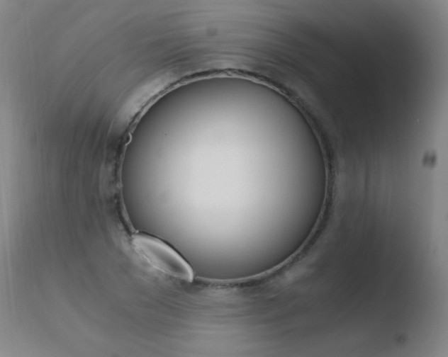 X0000110670977200906121057