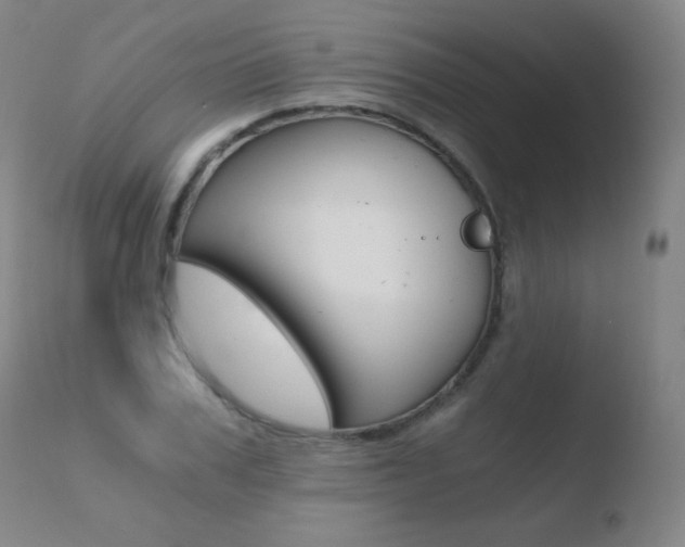 X0000110670979200906121057