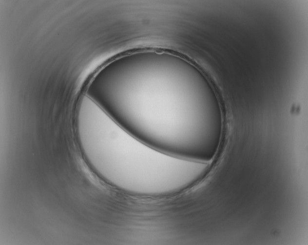 X0000110670981200906121056