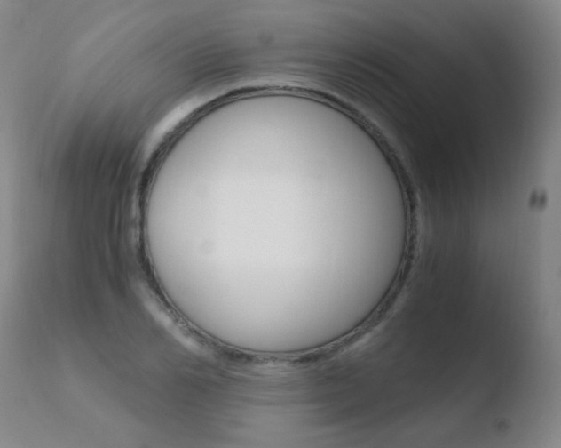 X0000110670982200906121056