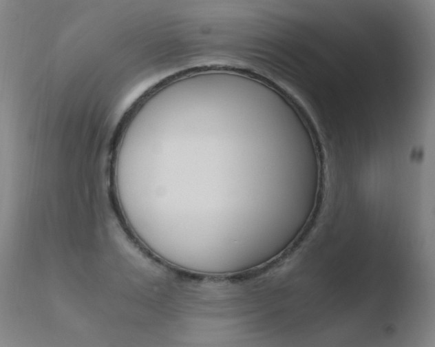 X0000110670983200906121056