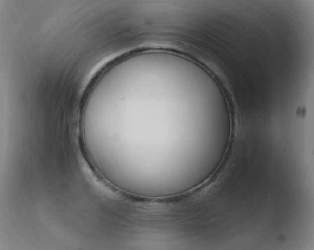 X0000110670984200906121056
