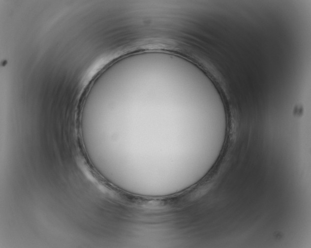 X0000110670986200906121056