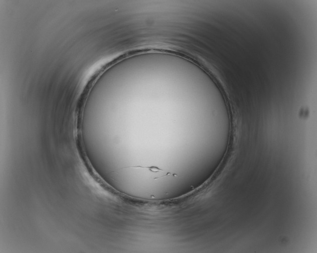 X0000110670987200906121056