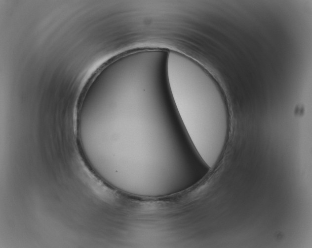 X0000110670988200906121056