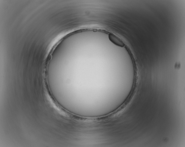 X0000110670989200906121056