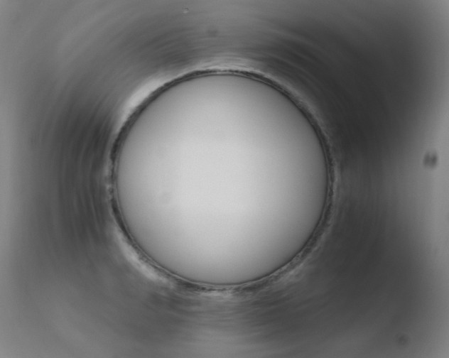 X0000110670990200906121056