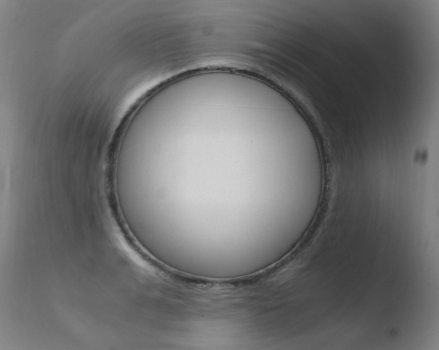 X0000110670991200906121056