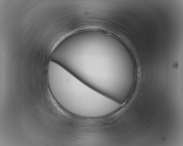 X0000110670993200906121056