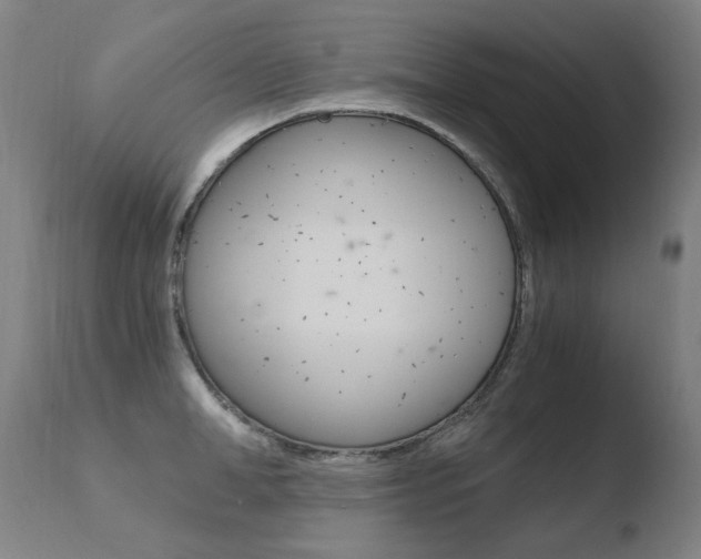 X0000110670998200906121056