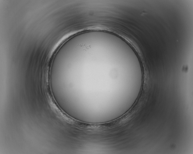 X0000110671000200906121056