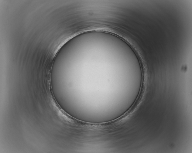 X0000110671001200906121056