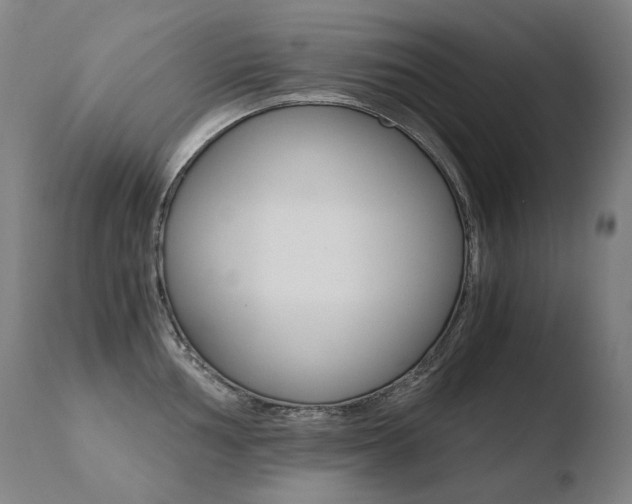 X0000110671002200906121056