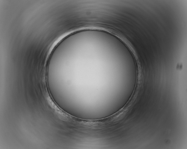 X0000110671004200906121056