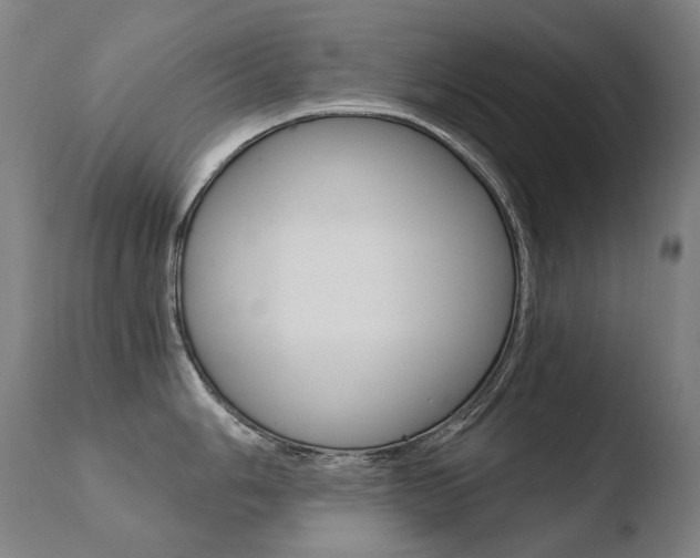 X0000110671006200906121056