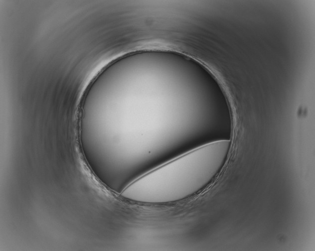 X0000110671008200906121056