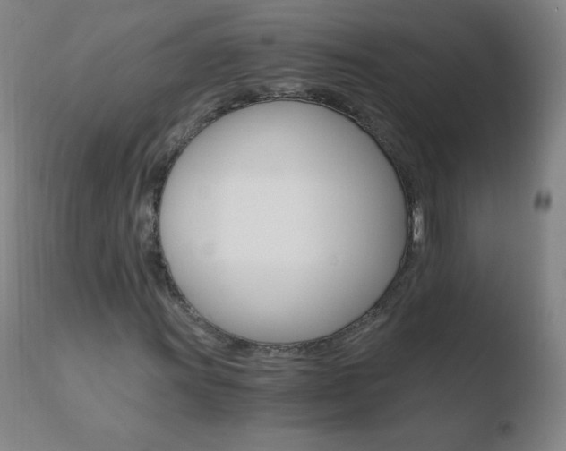 X0000110671011200906121055