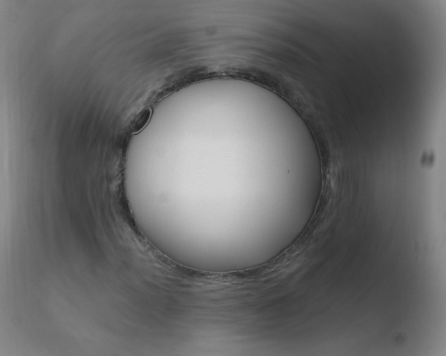 X0000110671012200906121055