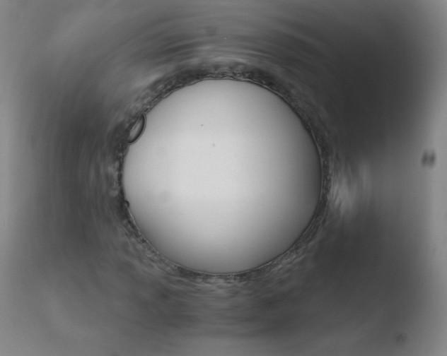 X0000110671013200906121055