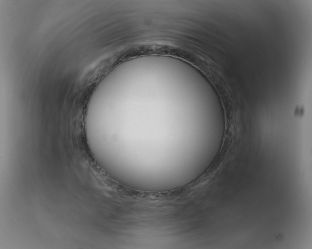 X0000110671014200906121055