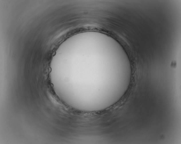 X0000110671015200906121055