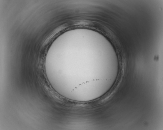 X0000110671017200906121055