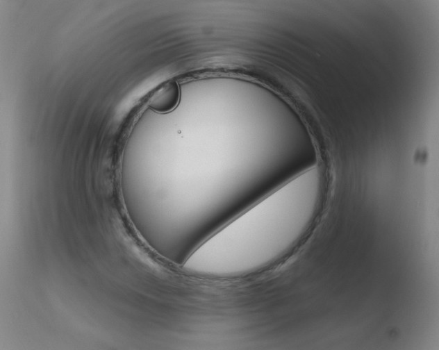 X0000110671018200906121055