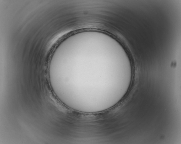 X0000110671019200906121055