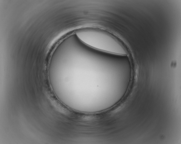 X0000110671021200906121055