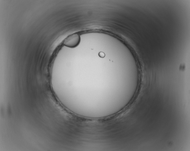 X0000110671023200906121055
