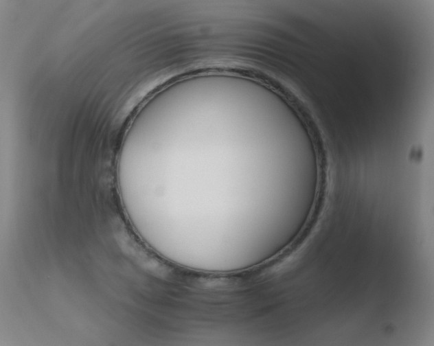 X0000110671025200906121055